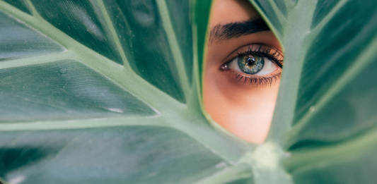 Lo que debes de tener sí o sí en tu rutina de Skincare
